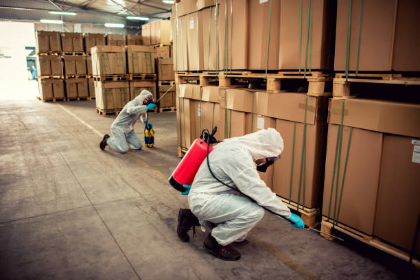 Best Exterminator Services  in Trophy Clu, TX