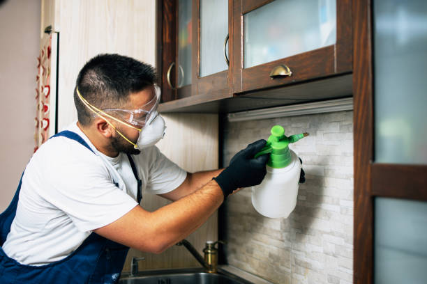 Best Pest Control Near Me  in Trophy Clu, TX