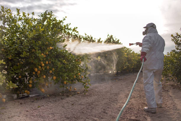 Best Wildlife Control Services  in Trophy Clu, TX