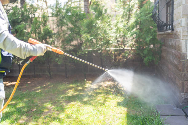 Best Termite Control Services  in Trophy Clu, TX